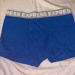 Blue Express Briefs